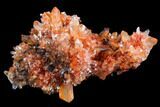 Orange Creedite Crystal Cluster - Durango, Mexico #79389-1